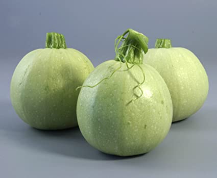 Squash Round Green Biocarve Sunantha Organic Farms